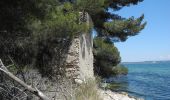 Randonnée Marche Martigues - FR 2020 - Martigues - Port de Saint Mitre les Remparts - Balcons du Cadéraou  - Photo 3