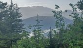 Tocht Stappen Seyne - SEYNES LES ALPES Bas et haut Chardavon  , balade de la Rochette , ravin des Ganiayes , les Côtes n - Photo 11