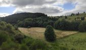 Tour Wandern Chalmazel-Jeansagnière - Au dessus de Chalmazel  - Photo 15