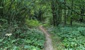 Trail Walking Marray - Marray - Les versants de la Dême - Photo 9
