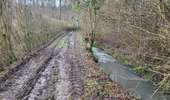 Tocht Stappen Amay - Jehay Bodegnee 230125 - Photo 9