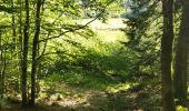 Percorso Marcia Xonrupt-Longemer - randonnée sur 2 jours des 5 lacs dans les Vosges ( longemer, blanchemer, lispach, Retournemer, de la lande) - Photo 16
