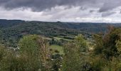 Trail Walking Vresse-sur-Semois - Bohan 150922 - Photo 3