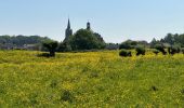 Trail Walking Sluis - Aardenburg 19 km - Photo 1