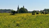 Tocht Stappen Sluis - Aardenburg 19 km - Photo 1