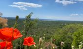 Tour Zu Fuß Gradisca d'Isonzo - (SI A22) Gradisca d'Isonzo - Centro visite Gradina - Photo 2