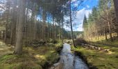 Tocht Stappen Houffalize - rando cetturu - Photo 10