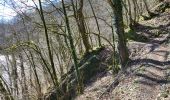 Tour Wandern Bertrix - Auby sur Semois 140324 - Photo 12