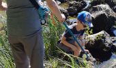 Tocht Stappen Aydat - tour du lac d'Aydat - Photo 3