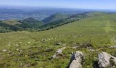 Trail Walking Ganac - Prat d'Albis Alain Goudou  - Photo 3