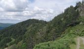 Trail Walking Bassurels - Observatoire Mont Aigoual / Meyrueis - Photo 6