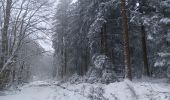 Randonnée Marche Spa - entre fagne et bois - version courte - Photo 2