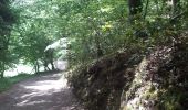 Trail Walking Pepinster - pepinster . drolenval . hoduinry . goffontaine . trou renard.  fraity . mazures . mousset . pepinster - Photo 5