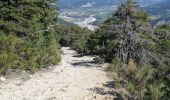 Trail Walking Saint-André-les-Alpes - St andre les Alpes - Photo 3
