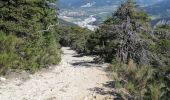 Excursión Senderismo Saint-André-les-Alpes - St andre les Alpes - Photo 3