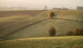 Randonnée V.T.C. Ellezelles - TOURNAISIS - Bières - collines - Dendre - BOUCLE - Photo 2