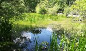 Trail Walking Fontainebleau - De la mare aux fées à Bourron-Marlotte - Photo 4