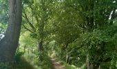 Trail Walking Pepinster - les 3 bois / cornesse  .  gofontaine  .  pepinster  .  cornesse  - Photo 3