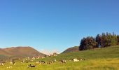 Trail Walking Saint-Nectaire - St_Nectaire_Puy_Eraigne_2 - Photo 1