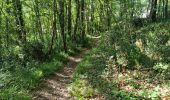 Trail Walking Reugny - Reugny - Vignes et Brenne - Photo 2