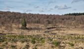 Tour Zu Fuß Eupen - Herzogenhügel - Brackvenn - Photo 6