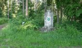 Randonnée A pied Zeitlarn - W 56 Regendorf - Schwaighausen (Grünes Dreieck) - Photo 2