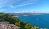 Randonnée Marche Leucate - leucate - cap des frères (sentier des bergers) -la franqui (sentier des guetteurs) - leucate (se tier des vignerons) - Photo 13