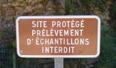 Trail On foot Saint-Jean-des-Vignes - De Bagnols à Lozanne - Photo 4
