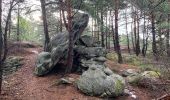 Excursión Senderismo Arbonne-la-Forêt - Forêt de Fontainebleau Tour de la Vierge et Le Hurlevent - Photo 11