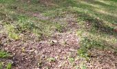 Randonnée Marche Fréteval - Fréteval - Etang Champs Bois Donjon - Photo 8