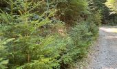 Trail Walking Saint-Sauveur-Camprieu - Camprieu Peyre mâle - Photo 1