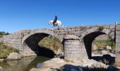 Tocht Paardrijden Vialas - 2022-09-21 Rando CVA Lozere Mas de la Barque Boucle Pont du Tarn - Photo 1