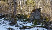 Tour Wandern Sewen - Lac d'Alfed et sa cascade - tour au pied du Ballon d'Alsace - Photo 11