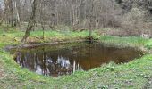 Tour Wandern Monschau - Höfen variante narcisses 15,3 km - Photo 4