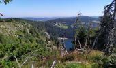 Tour Wandern Urbeis - Lac Blanc - Photo 3