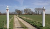 Tocht Te voet Houten - Rietplas & Schonauwen - Photo 9