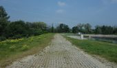 Tour Zu Fuß Leuna - Elster Floßgraben Wanderweg Kötzschau - Photo 3