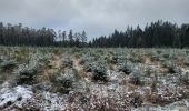 Trail Walking Saint-Hubert - St Hubert monument du roi Albert 281123 - Photo 2