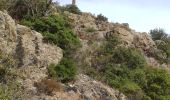 Tour Wandern La Garde-Freinet - les roches  blanches - Photo 9