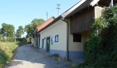 Trail On foot Bergern im Dunkelsteinerwald - Welterbesteig Wachau Etappe 13 - Photo 2