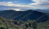 Trail Walking Roquebrune-sur-Argens - Le Peigros depuis le Bougnon - Photo 3