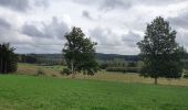 Tour Wandern Martelingen - rando vlessart 13/10/2020 - Photo 1