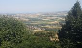 Tocht Stappen Saverne - Les 4 châteaux de Saverne - Photo 11