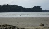 Trail On foot Hibiscus and Bays - Te Araroa NI Low tide - Photo 7