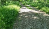 Trail Walking Coulommiers-la-Tour - Les Bois d'Huchigny, des Péseries et de Villemalin - Photo 11