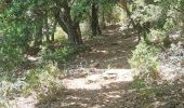Trail Walking Gonfaron - Notre dame des anges par notre dame du figuier - Photo 5