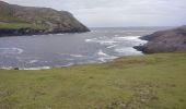 Randonnée Marche West Cork - Dursey Sound - Allihies beach - Photo 2