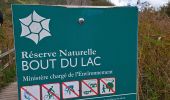 Excursión Senderismo Doussard - Réserve du bout du lac - Photo 1