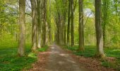 Tour Wandern Lobbes - Balade à Mont-Sainte-Geneviève - Photo 8