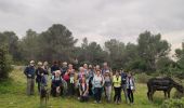 Trail Walking Tarascon - 2024-11-05 - Photo 3